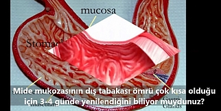 Vücudumuzdaki bilmediğimiz mucizevi özellikler