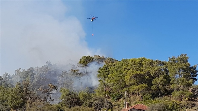 Antalya'da orman yangını çıktı